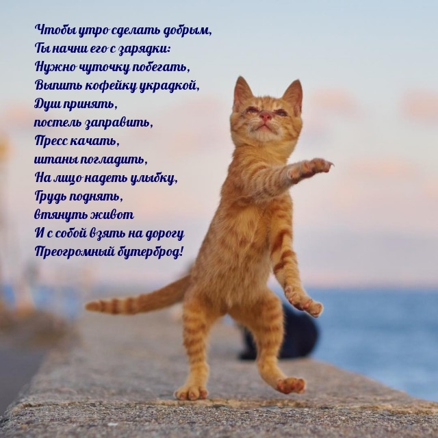 ����� ���� ������� ������, �� ����� ��� � �������.