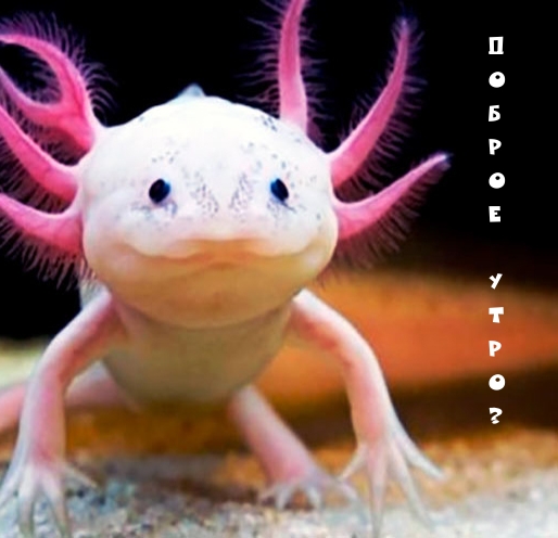 � � � � � � � � � � ?