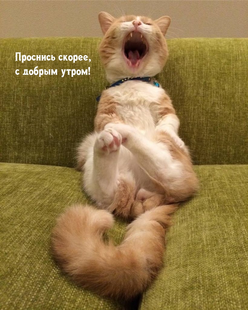 �������� ������, � ������ �����!.
