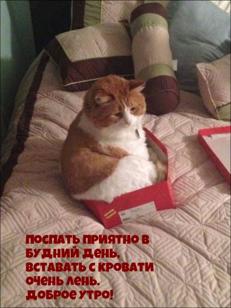 ��c���� ������� � ������ ����