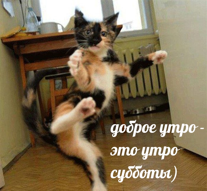������ ���� - ��� ���� �������)