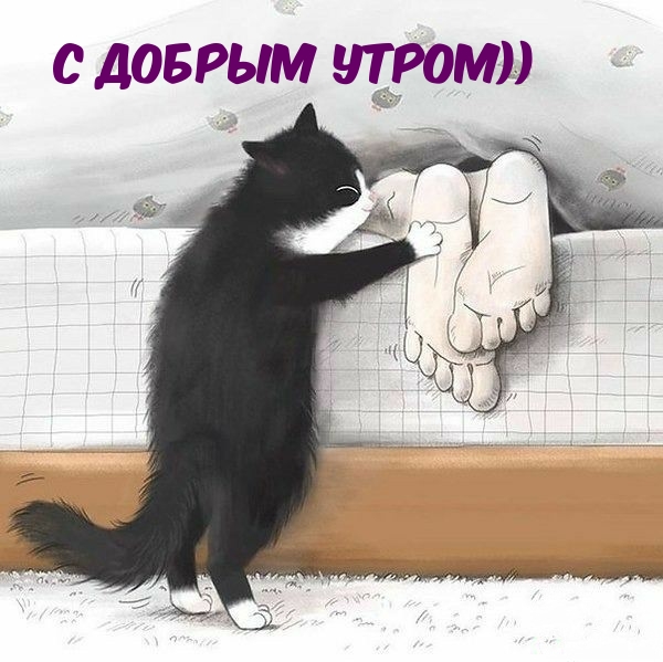 � ������ �����)).