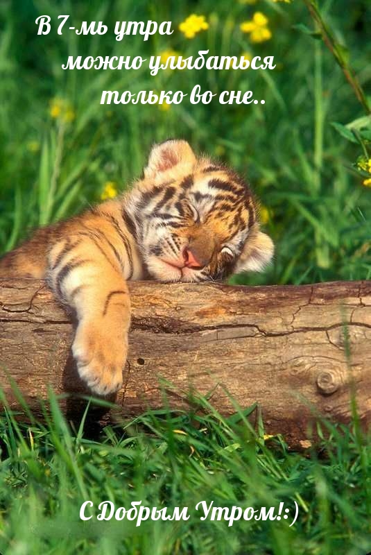 � 7-�� ���� ����� ��������� ������ �� ���..