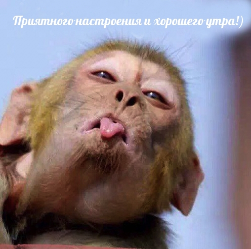 ��������� ���������� � �������� ����!)