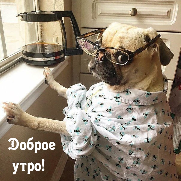 ������ ����!.