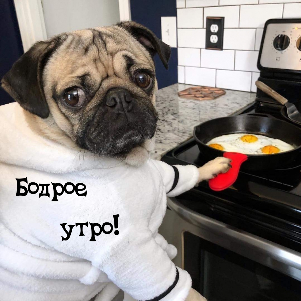 ������ ����!