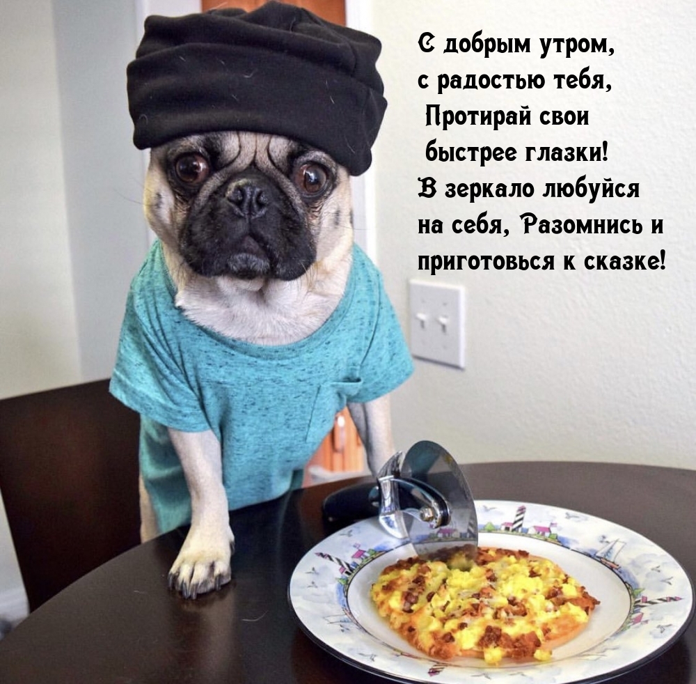 � ������ �����, � �������� ����!.