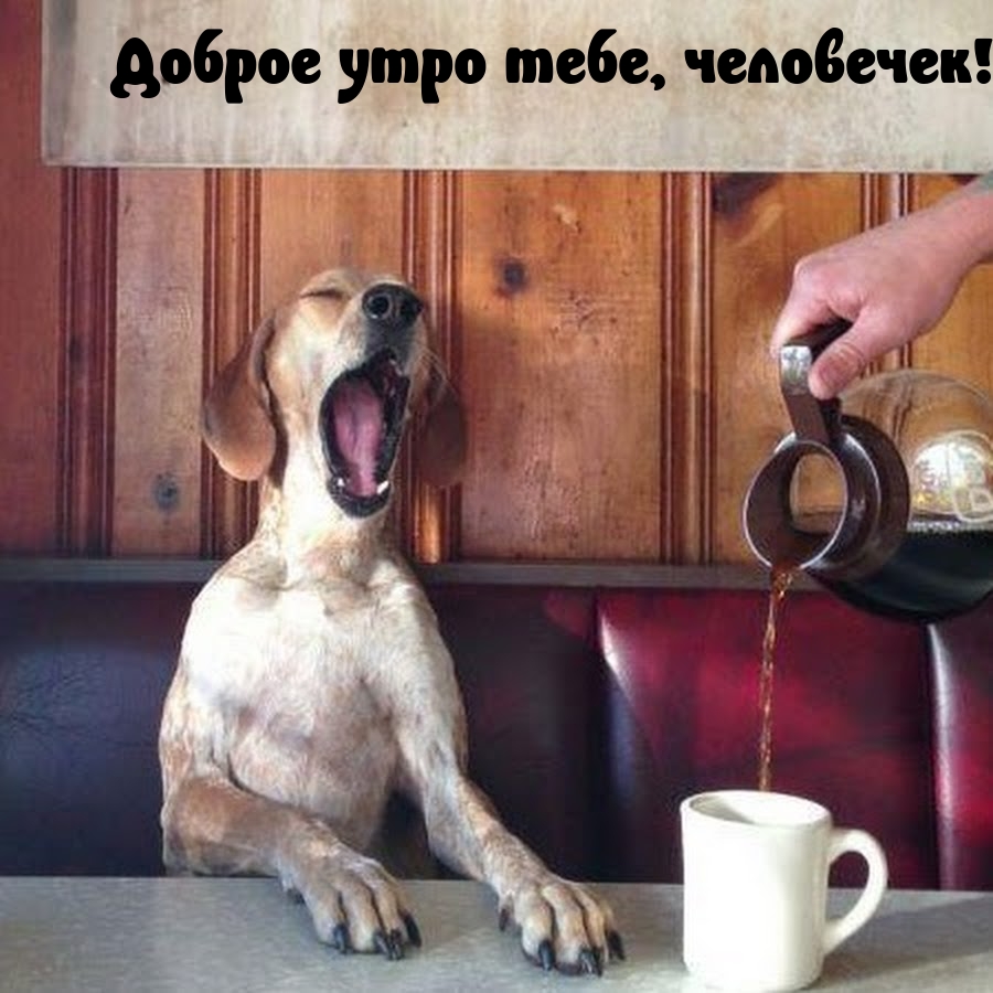 ������ ���� ����, ���������!.