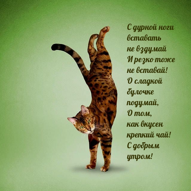 � ������ ���� �������� �� ������� .