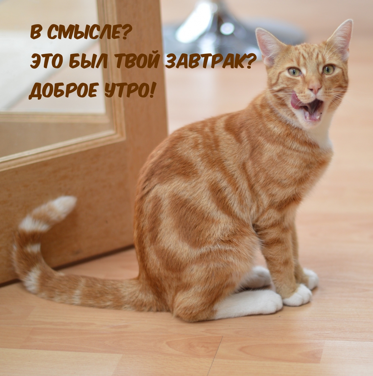 � ������? ��� ��� ���� �������? ������ ����!.