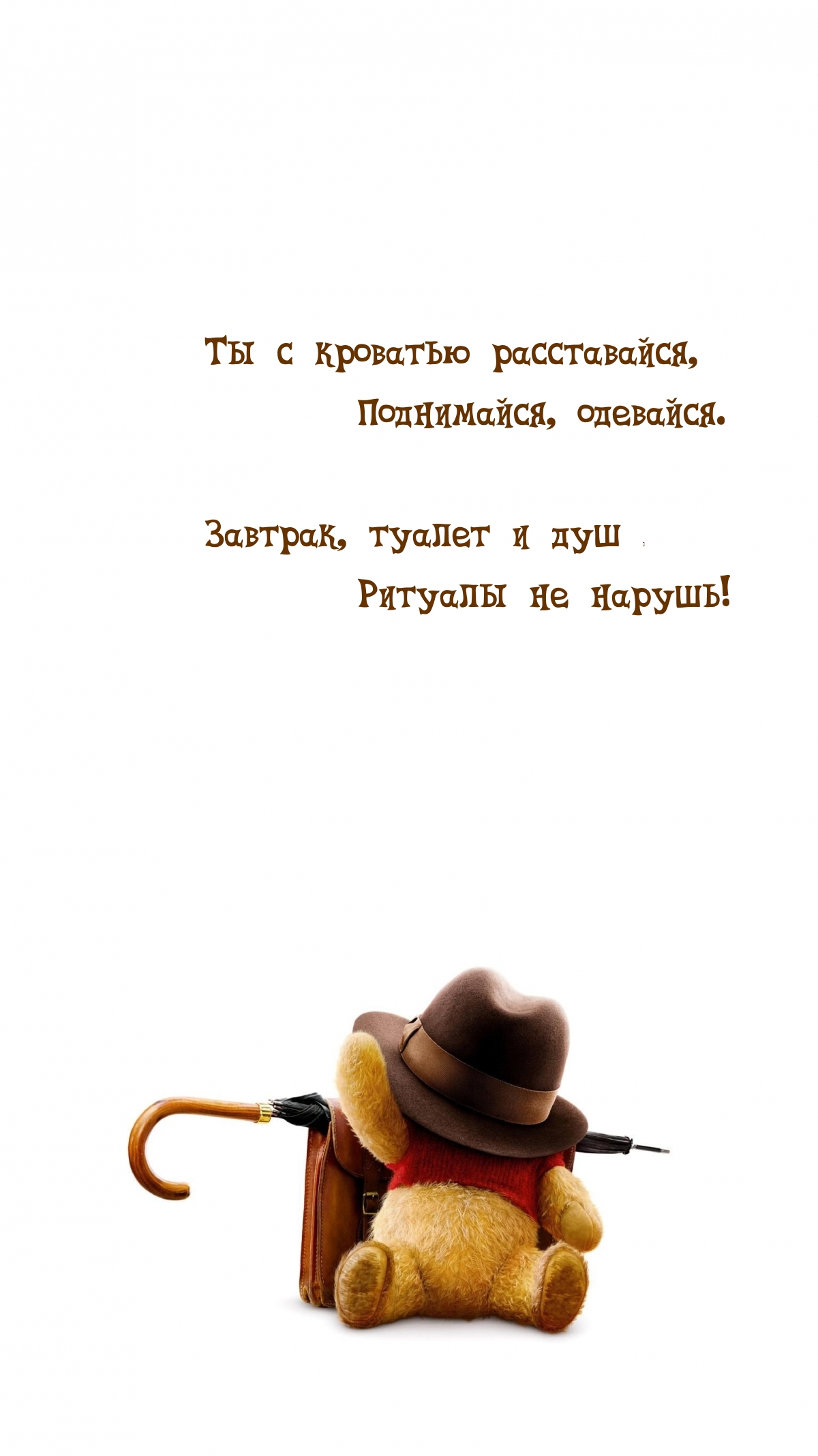 �� � �������� �����������, ����������, ��������