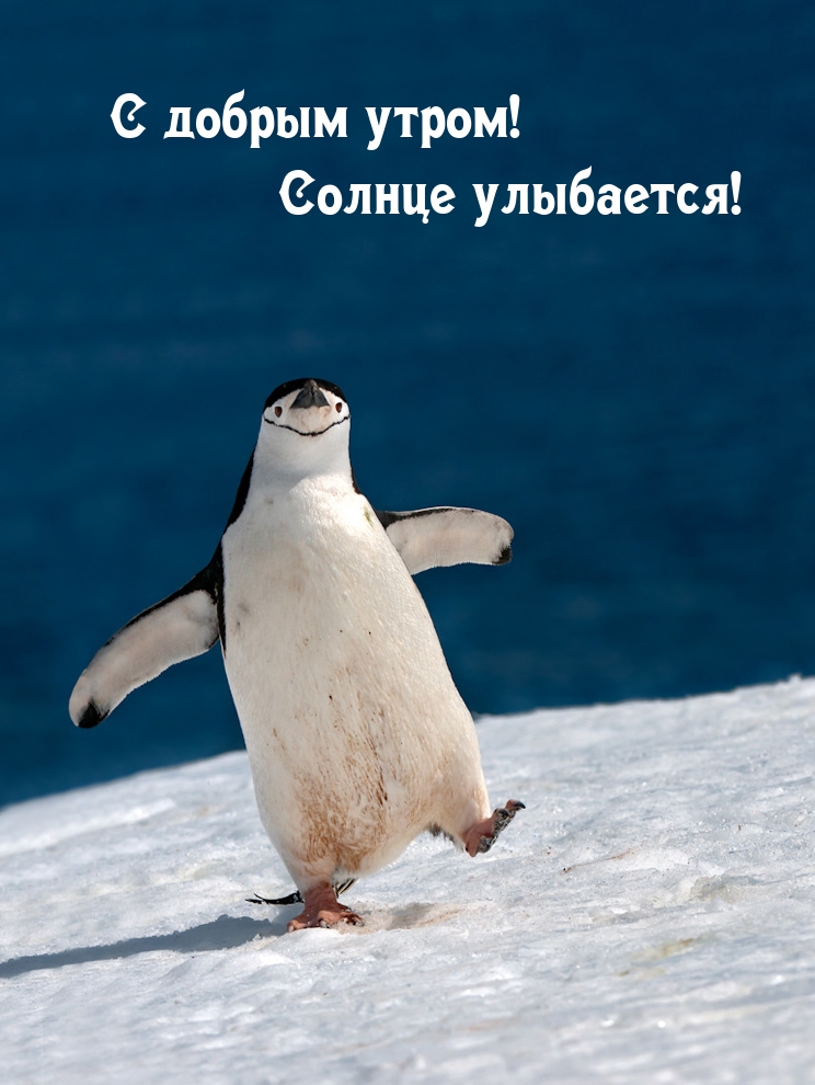 � ������ �����! ������ ���������!.