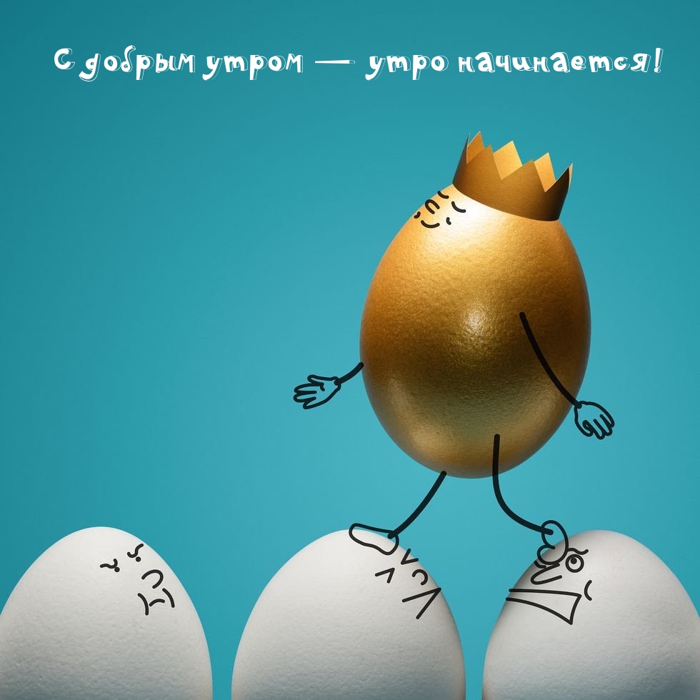 � ������ ����� � ���� ����������!.