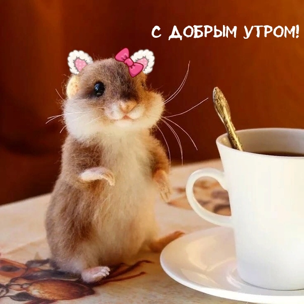 � ������ �����!
