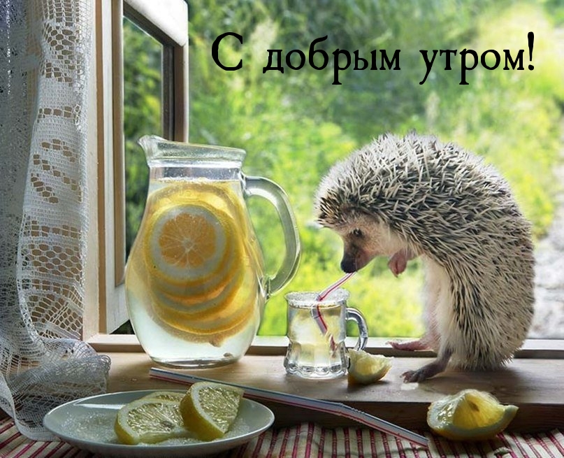 � ������ �����!.