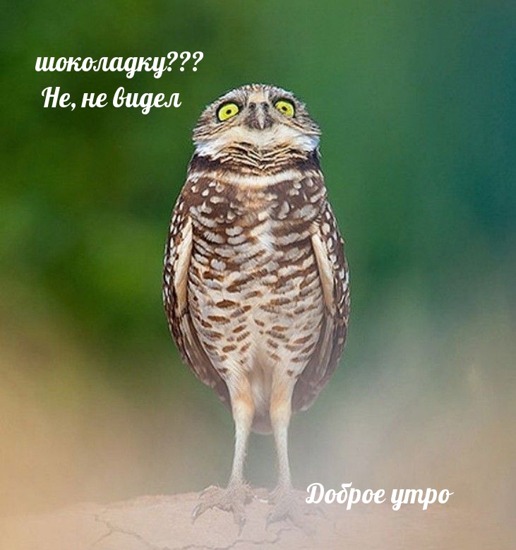���������???  ��, �� �����.