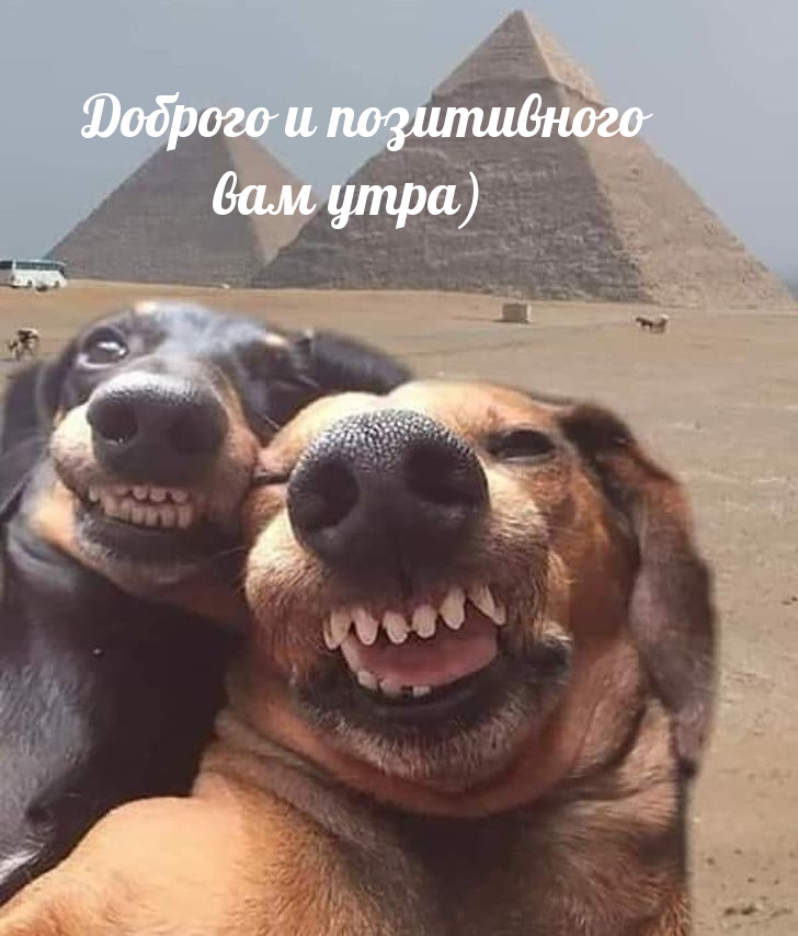 ������� � ����������� ��� ����).