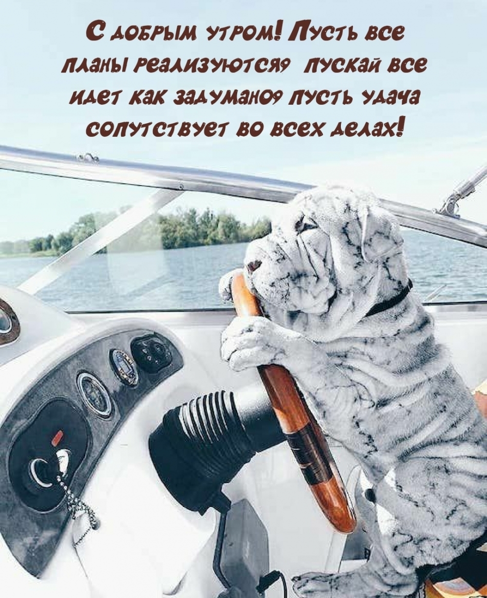 � ������ �����! ����� ��� ����� �����������.