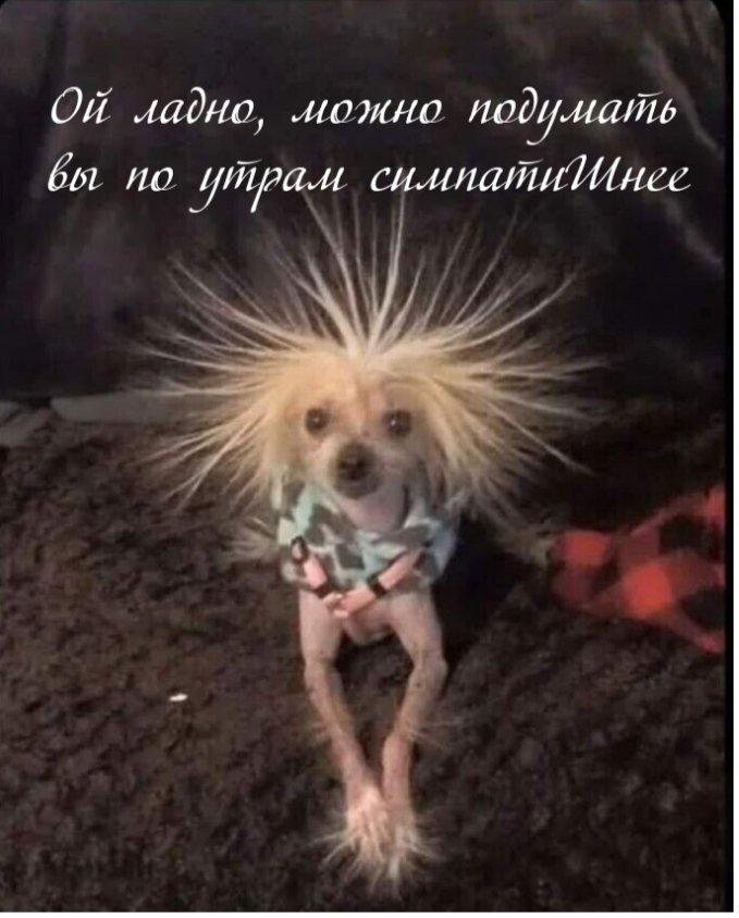 ����� ��������, ��� �� ����� ��������� �����.