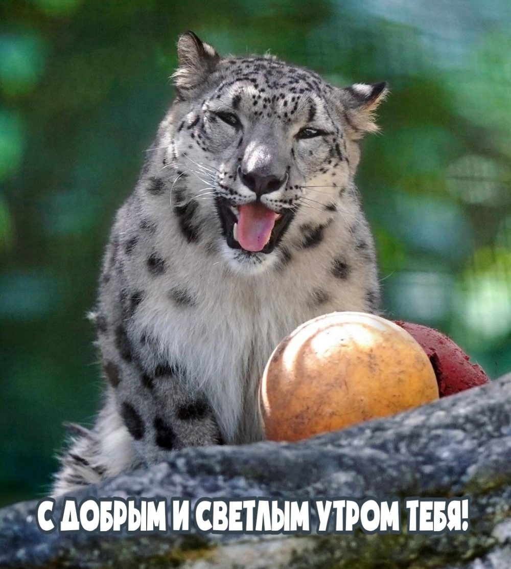 � ������ � ������� ����� ����!