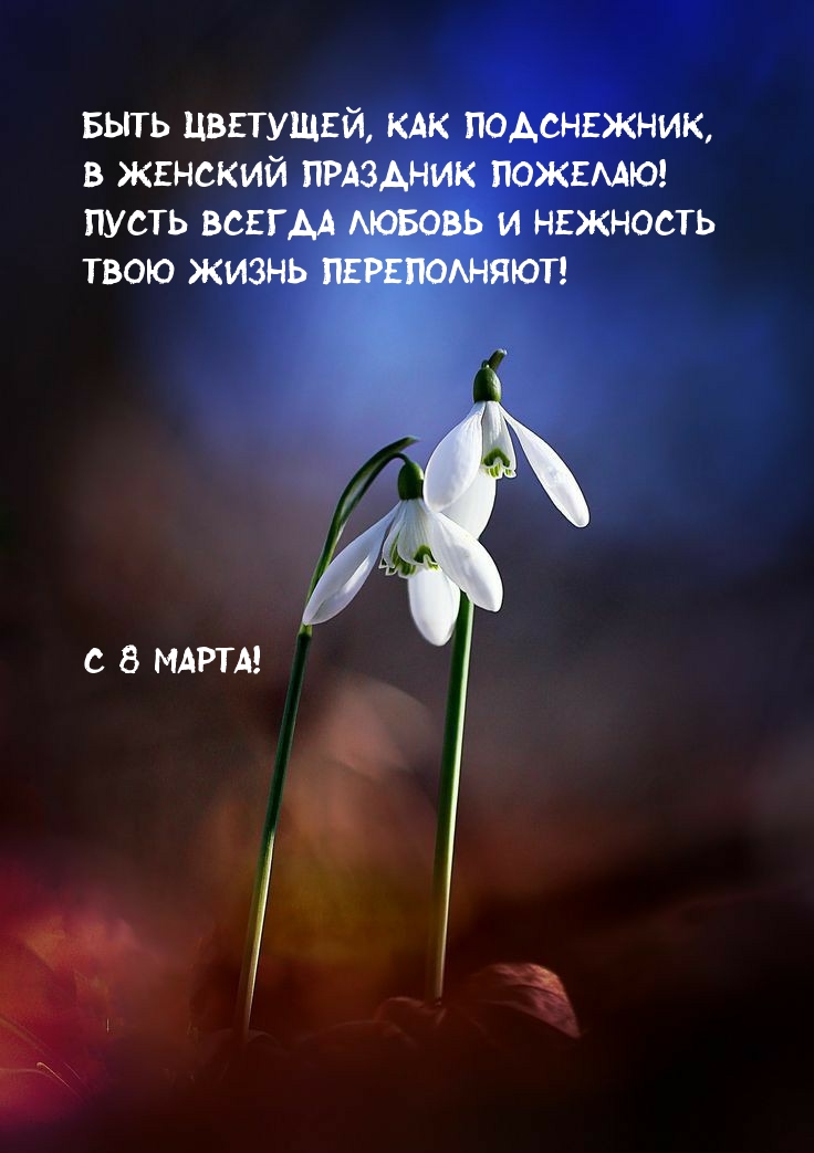 ���� ��������, ��� ����������! � 8 �����! 
