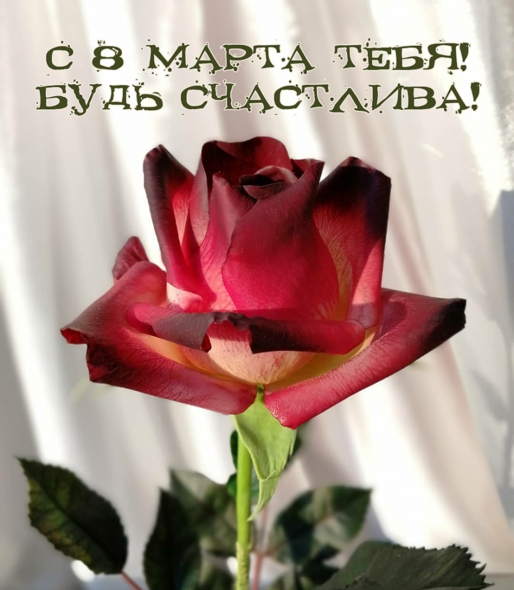 � 8 ����� ����! ���� ���������!