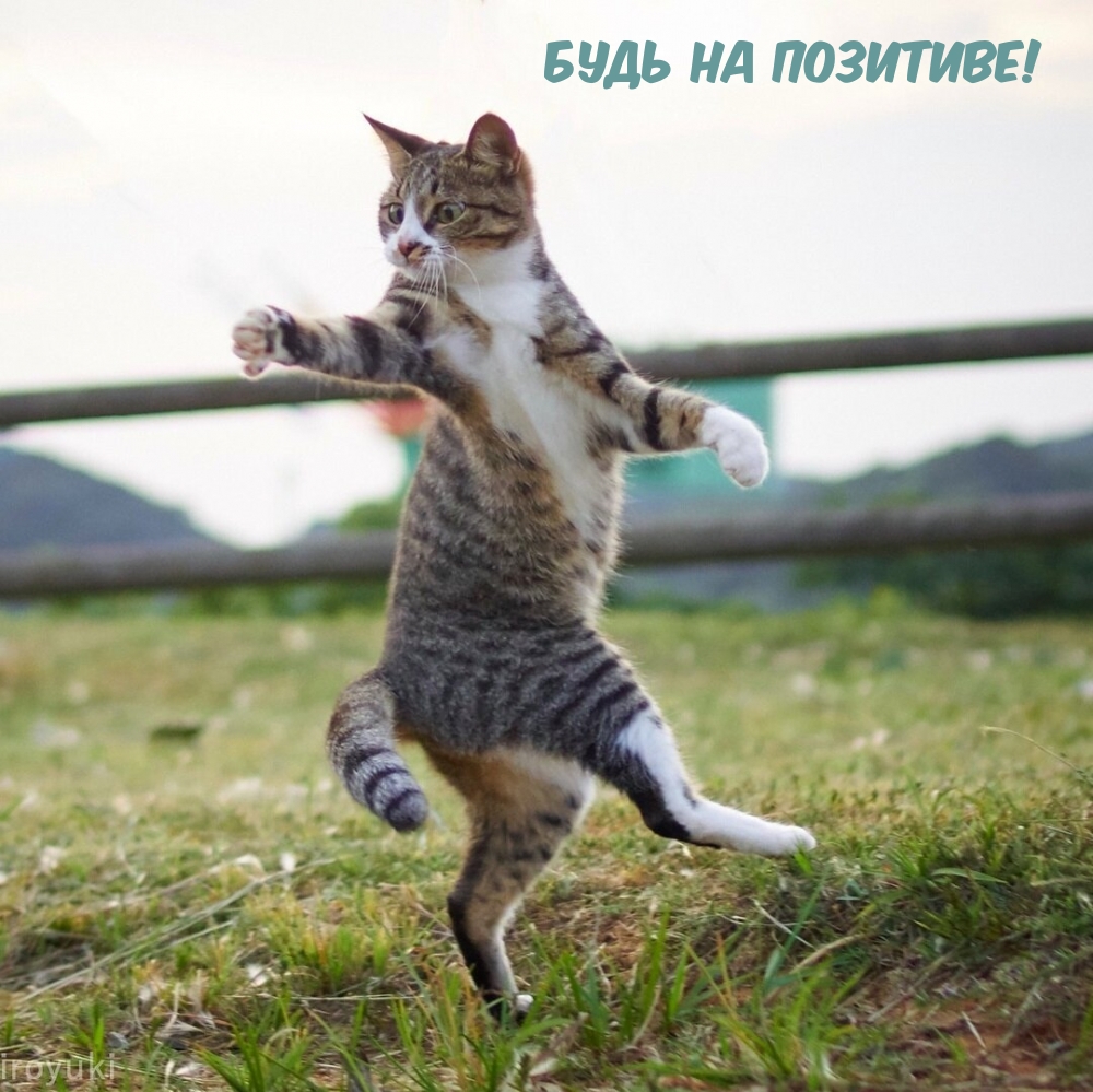 Будь на позитиве!