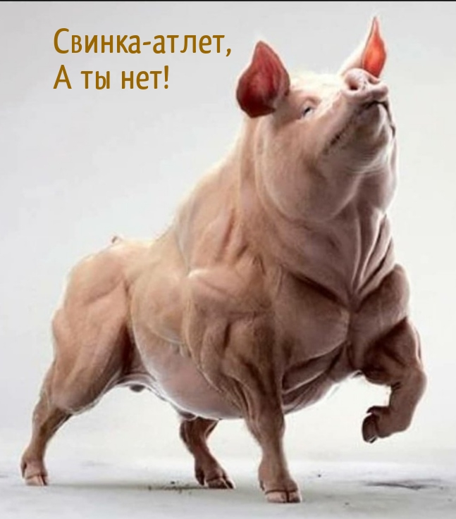 -,   !.