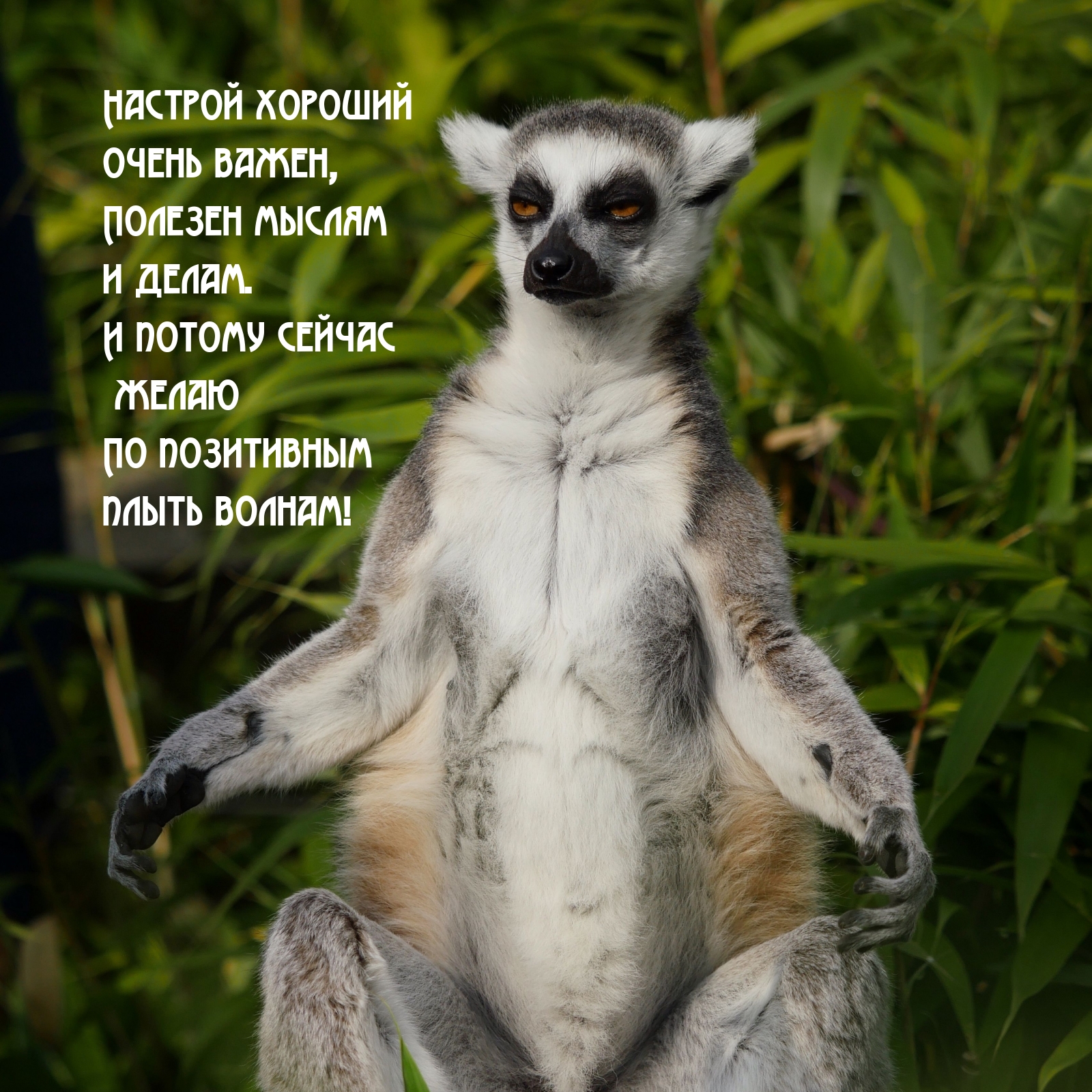 Настрой хороший очень важен