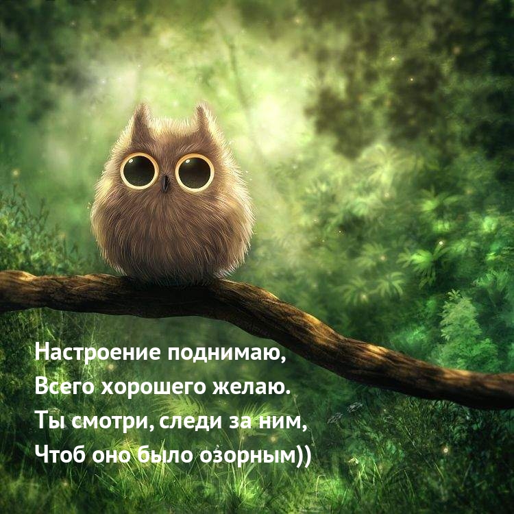 ,   ..