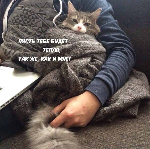 ����� ���� ����� �����, ��� ��, ��� � ���!.