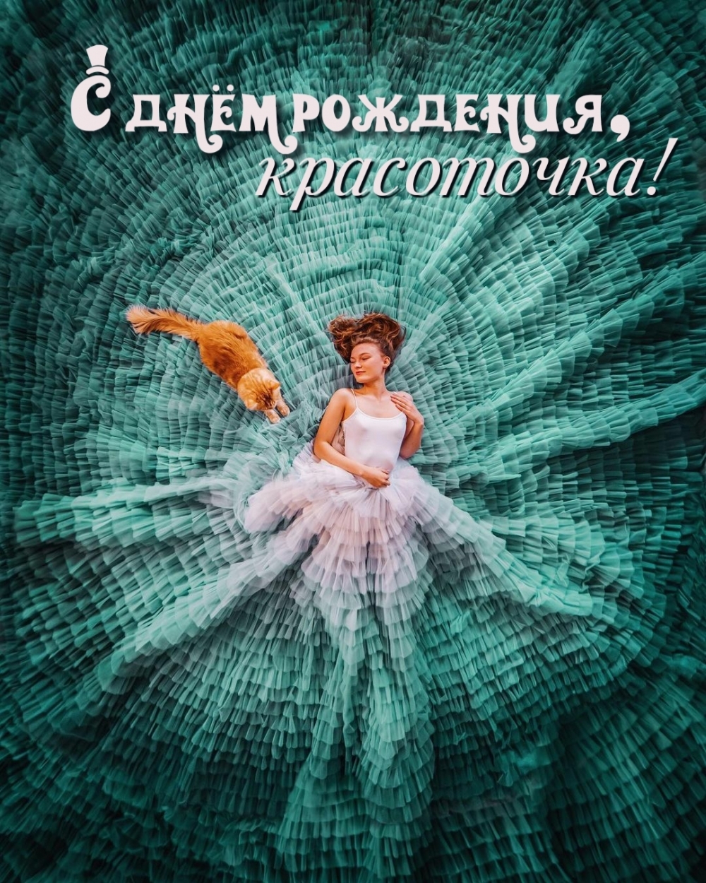 � ���� ��������, ����������!