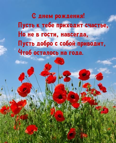 � ���� ��������! ����� � ���� �������� �������