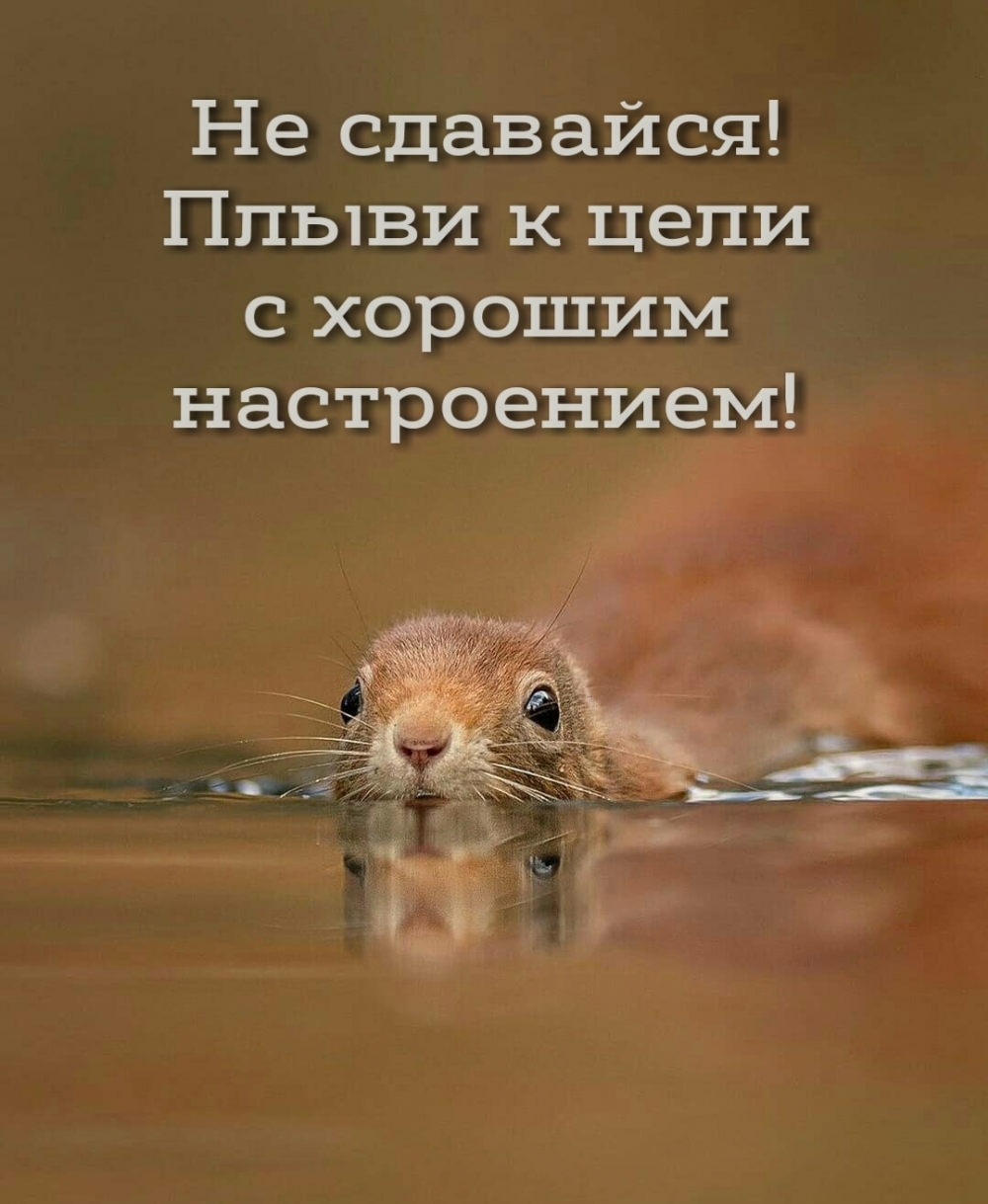 �� ��������! ����� � ���� � ������� �����������!