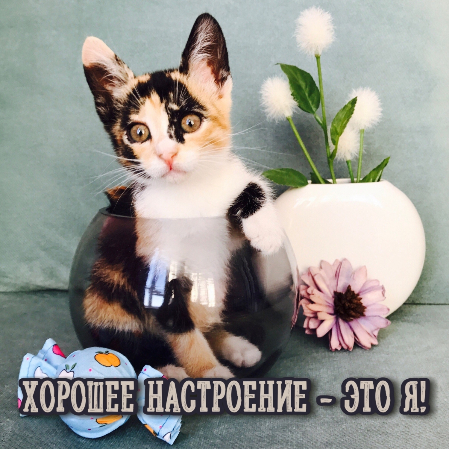 Хорошее настроение - это я!