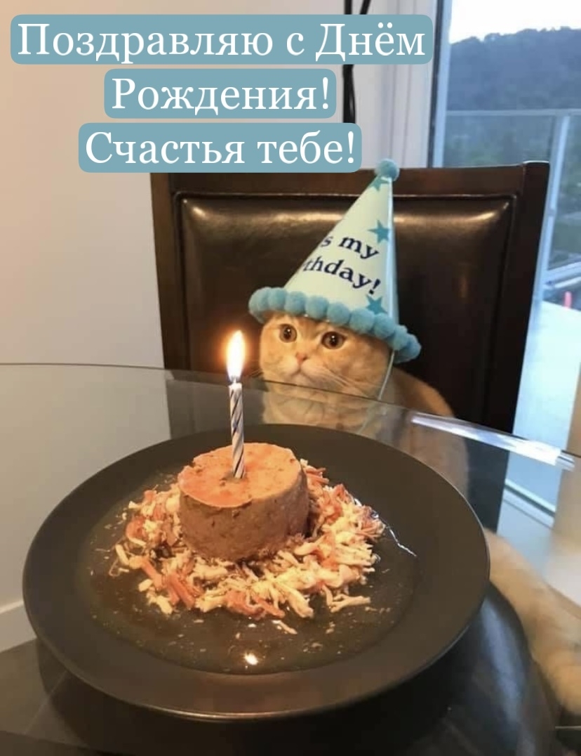 ���������� � ���� ��������! ������� ����!