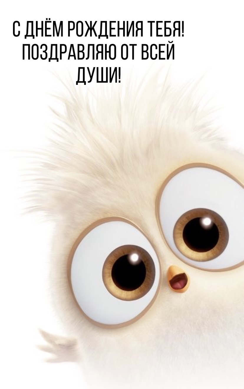 � ���� �������� ����! ���������� �� ���� ����!.