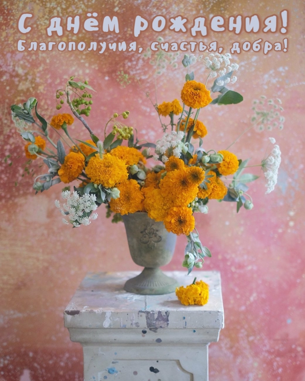 � ���� ��������! ������������, �������, �����!.