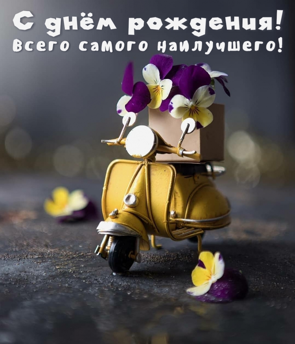 � ���� ��������! ����� ������ ����������!.