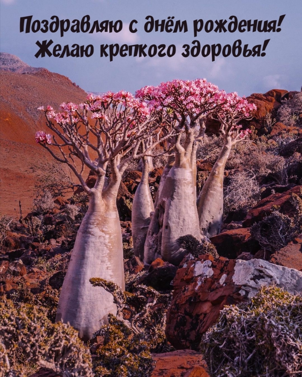 ���������� � ���� ��������! ����� �������� ��������!.