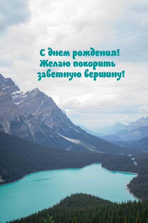 � ���� ��������! ����� �������� �������� �������!.