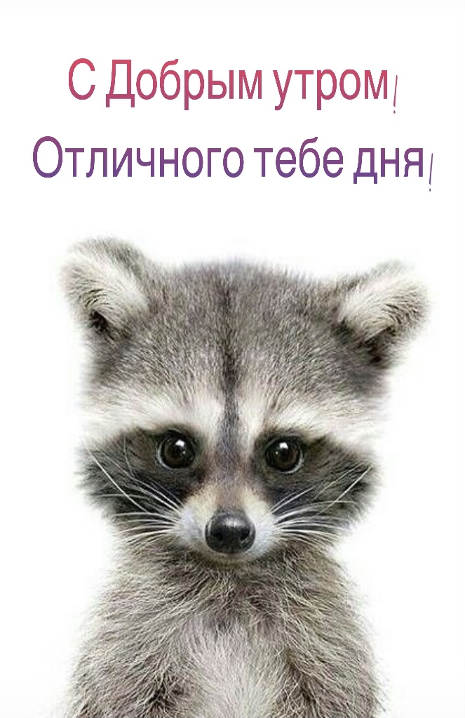 � ������ �����! ��������� ���� ���!.