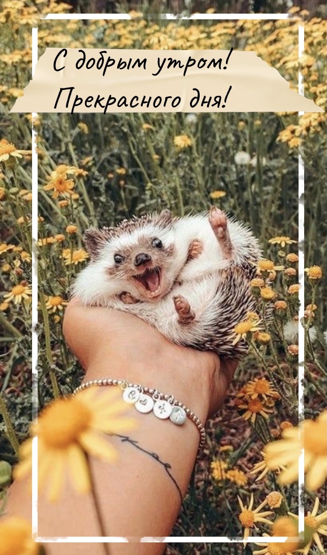 � ������ �����! ����������� ���!.