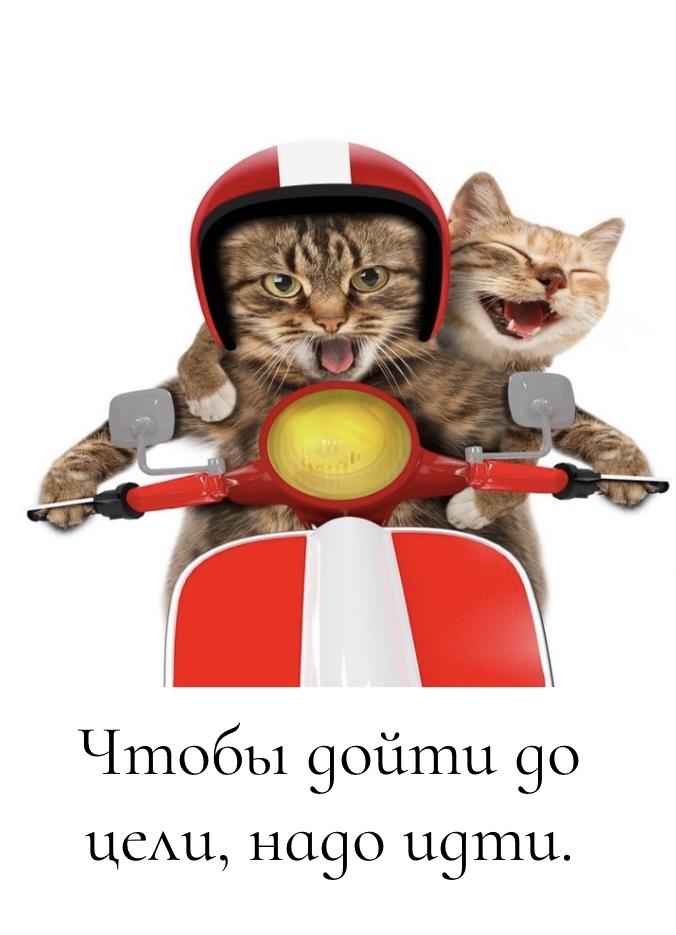 Чтобы дойти до цели, надо идти.