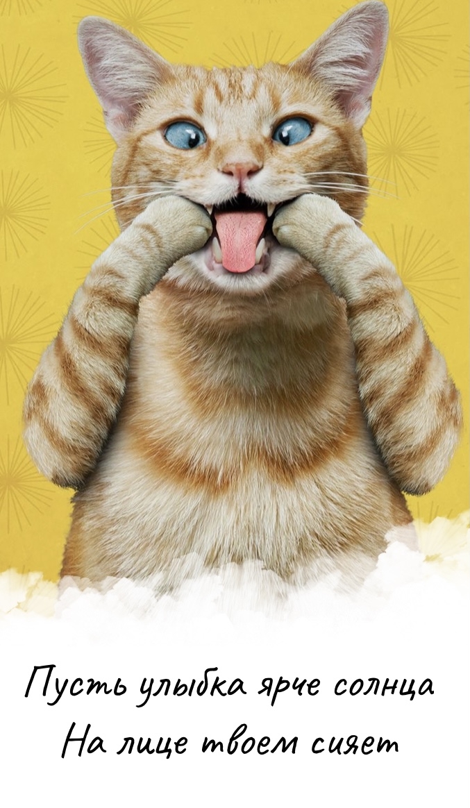 ����� ������ ���� ������ �� ���� ����� �����.