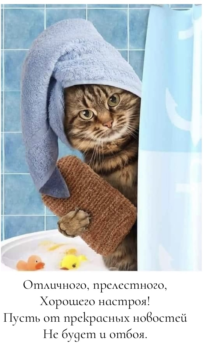 Отличного, прелестного, хорошего настроя!