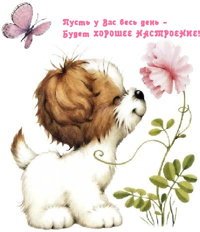 ����� � ��� ���� ���� - ����� ������� ����������!