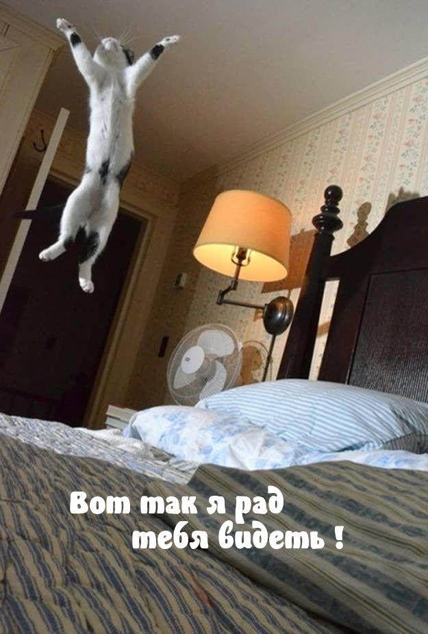 ��� ��� � ��� ���� ������!.