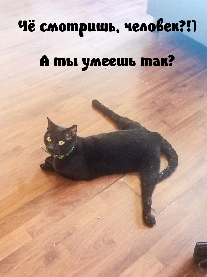 ׸ , ?!)    ?.