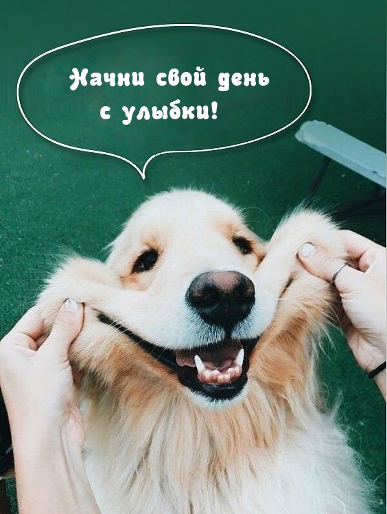     !.